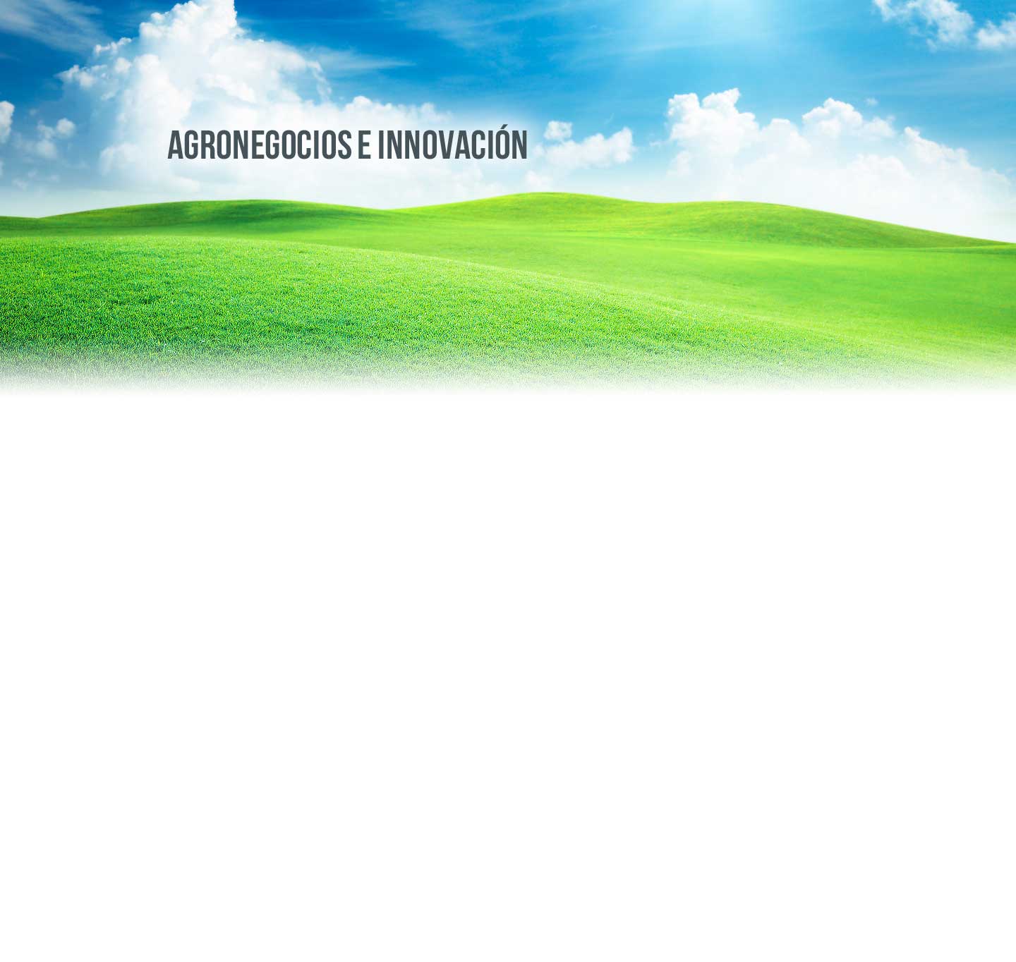 Agronegocios e innovación